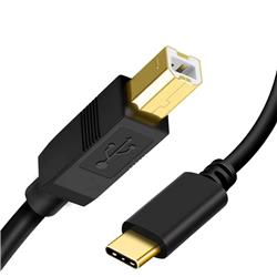 iCAN USB 2.0 Type-C to USB-B 28 AWG M/M cable- 3 ft