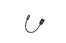 iCAN Type-C Male to USB 3.0 A Female Adapter, Black
