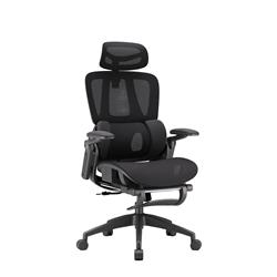 iCAN E21-BK Special Mesh Ergonomic Office Chair