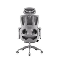 iCAN E21-GY Reclining Ergonomic Office Chair(Open Box)