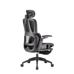 iCAN E21-BK Special Mesh Ergonomic Office Chair