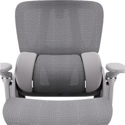 iCAN E21-GY Reclining Ergonomic Office Chair(Open Box)
