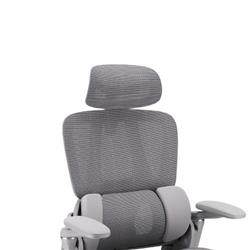 iCAN E21-GY Reclining Ergonomic Office Chair(Open Box)