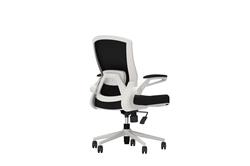 iCAN FA-WH Mesh Office Chair