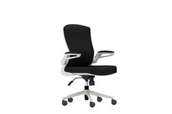 iCAN FA-WH Mesh Office Chair