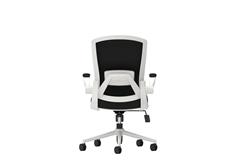 iCAN FA-WH Mesh Office Chair
