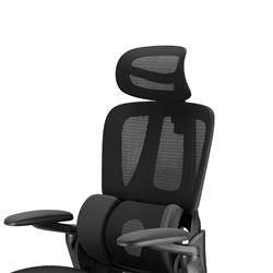 iCAN E21-BK Special Mesh Ergonomic Office Chair