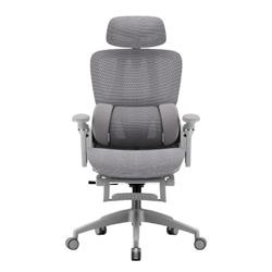 iCAN E21-GY Reclining Ergonomic Office Chair(Open Box)