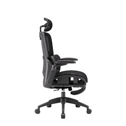 iCAN E21-BK Special Mesh Ergonomic Office Chair