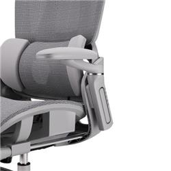 iCAN E21-GY Reclining Ergonomic Office Chair(Open Box)