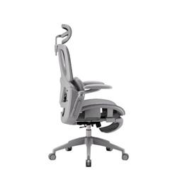 iCAN E21-GY Reclining Ergonomic Office Chair(Open Box)