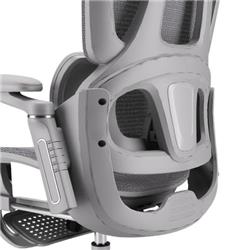 iCAN E21-GY Reclining Ergonomic Office Chair(Open Box)