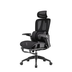 iCAN E21-BK Special Mesh Ergonomic Office Chair