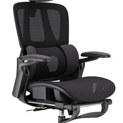 iCAN E21-BK Special Mesh Ergonomic Office Chair