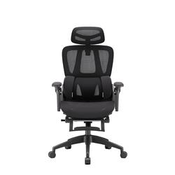 iCAN E21-BK Special Mesh Ergonomic Office Chair