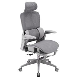 iCAN E21-GY Reclining Ergonomic Office Chair(Open Box)