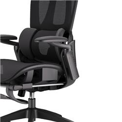 iCAN E21-BK Special Mesh Ergonomic Office Chair