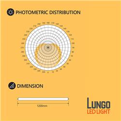 Ampoule LED linéaire Lungo LED 12 W T8 1,2 m (type B), blanc chaud 3 500 K (lot de 30)