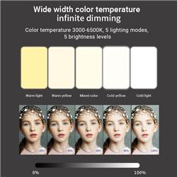 Lampe de vidéoconférence portable à LED iCAN 80 pour selfies