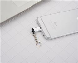 FLITOP Micro USB to Lightning Adapter with Key Chain, Silver