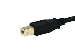 MONOPRICE USB Type-A to USB Type-B 2.0 Cable, Black, 10ft