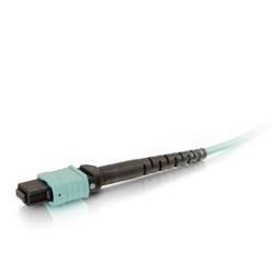 CABLES TO GO MTP® Compatible MPO to 6 Duplex Fiber Breakout Cable OM3 riser rated - 1m (31322)