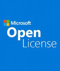 Microsoft Open Business Vol License Office Prof - Full License + Assurance 32-bit (269-05577) - Vendor Dropship, Enduser inform