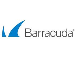 Barracuda 4U Rack Backup Server 995 with 10GbE Fiber Ethernet - One year Energize Updates (BBS995B1) - Vendor Direct Dropship t