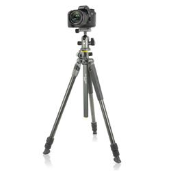 Vanguard Alta Pro 2+ 263CB 100 Carbon w/ Ball Head | Tripod Kit