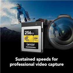 Lexar Professional 256GB CFexpress Type B Memory Card, Up to 1750MB/s Read, Raw 8K Video Recording (LCXEXPR256G-RNENG)