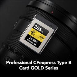 Lexar Professional 256GB CFexpress Type B Memory Card, Up to 1750MB/s Read, Raw 8K Video Recording (LCXEXPR256G-RNENG)