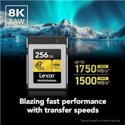 Lexar Professional 256GB CFexpress Type B Memory Card, Up to 1750MB/s Read, Raw 8K Video Recording (LCXEXPR256G-RNENG)