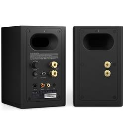 NZXT Relay Speaker 2.0 Computer Speaker, Black