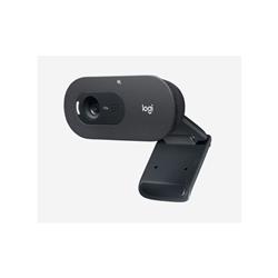 Logitech C505 HD Webcam