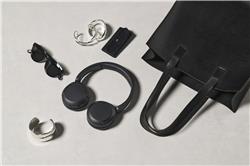 SONY Casque sans fil WH-CH530 avec microphone, Noir