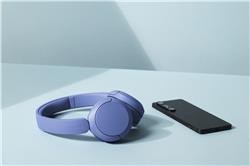 SONY Casque sans fil WH-CH530 avec microphone, Cobalt