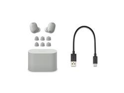 SONY WF-1000XM6 Truly Wireless NC Earbuds, Platinum Silver