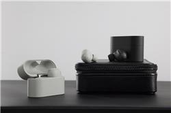 SONY WF-1000XM6 Truly Wireless NC Earbuds, Platinum Silver