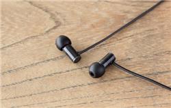 FINAL AUDIO E1000 In-Ear Isolating Earphones | sound quality design | Black