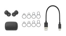 SONY WF-L900 LinkBuds Truly Wireless Earbuds with Mic, Grey