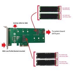 Vantec M.2 NVMe + M.2 SATA SSD PCIe x4 ADAPTER W/LOW PROFILE