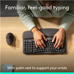 LOGITECH Ergonomic English Keyboard and Mouse Combo
