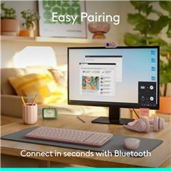 LOGITECH MK250 Productivity English Keyboard and Mouse Combo - Rose