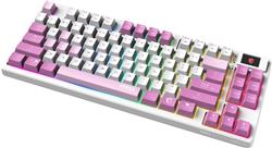 MSI FORGE GK600 TKL WIRELESS VIOLET Tenkeyless (TKL, 80%) Gaming Keyboard, English, Regular Profile, Mechanical Linear