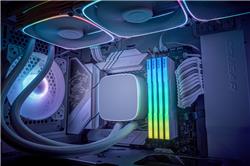 KLEVV CRAS V RGB 32 Go (2x16 Go) DDR5 6000 MHz CL28 UDIMM