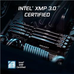 Kingston FURY Beast 16 Go (1x16 Go) DDR5 6000 MHz CL36 UDIMM