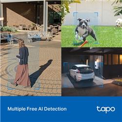 TP-Link Tapo C520WS Smart Outdoor Pan/Tilt Security Wi-Fi Camera 2K