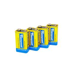 Tewaycell 2 Pack 9V Alkaline Battery