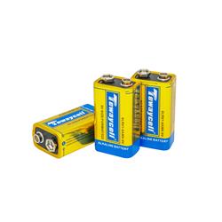 Tewaycell 2 Pack 9V Alkaline Battery