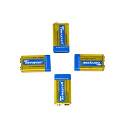 Tewaycell 2 Pack 9V Alkaline Battery